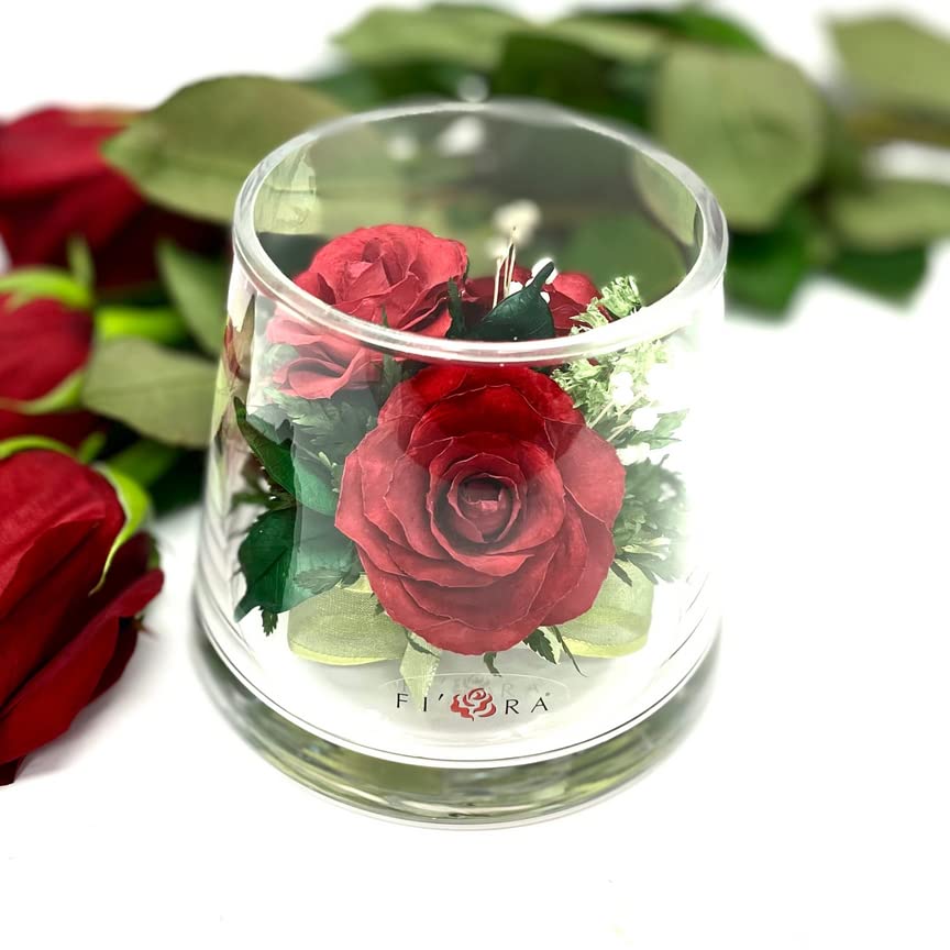 Fiora Flower | Long Lasting Real Roses in a Sealed Vase | Lasts up to 5 Years | Unique Present Gift