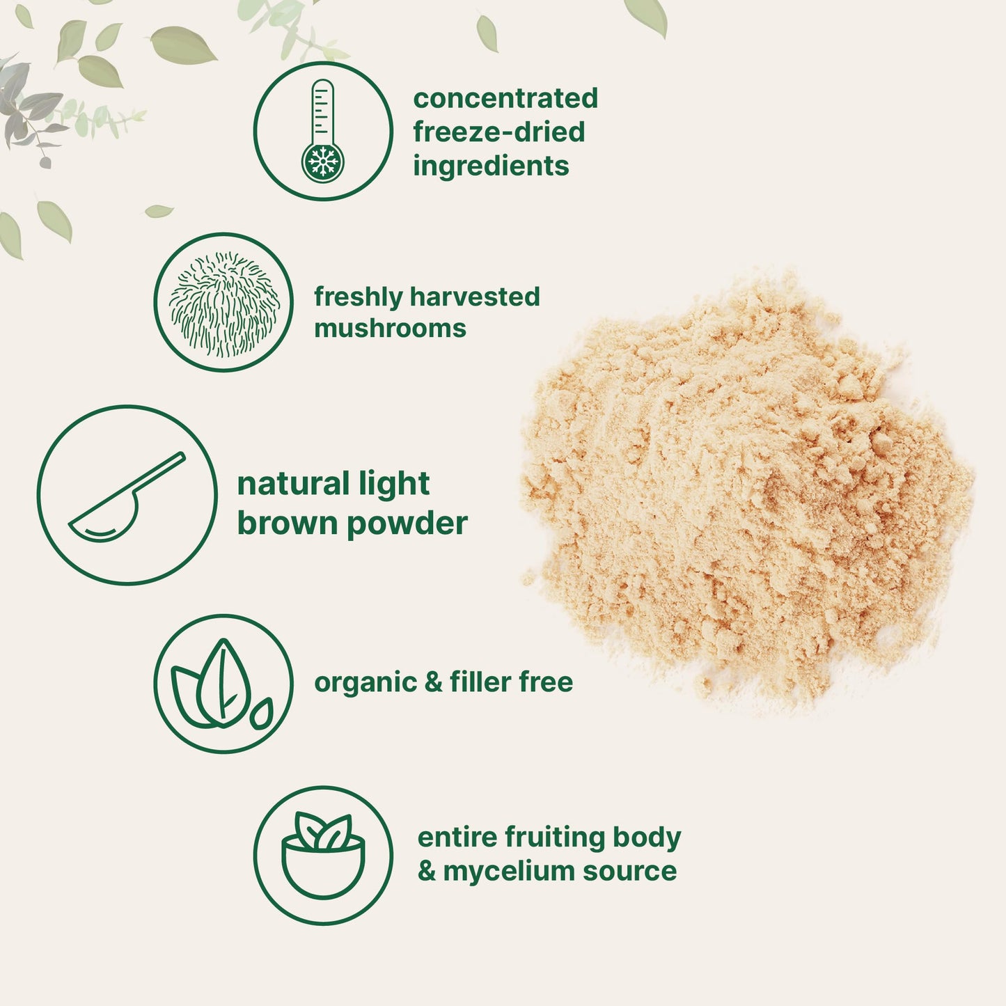 Micro Ingredients Organic Lion’s Mane Mushroom Powder, 8oz | Pure Fruiting Body Superfood | Supports Brain, Focus, Energy & Immune Health | Great for Smoothies & Coffee | Filler Free, Vegan, Non-GMO