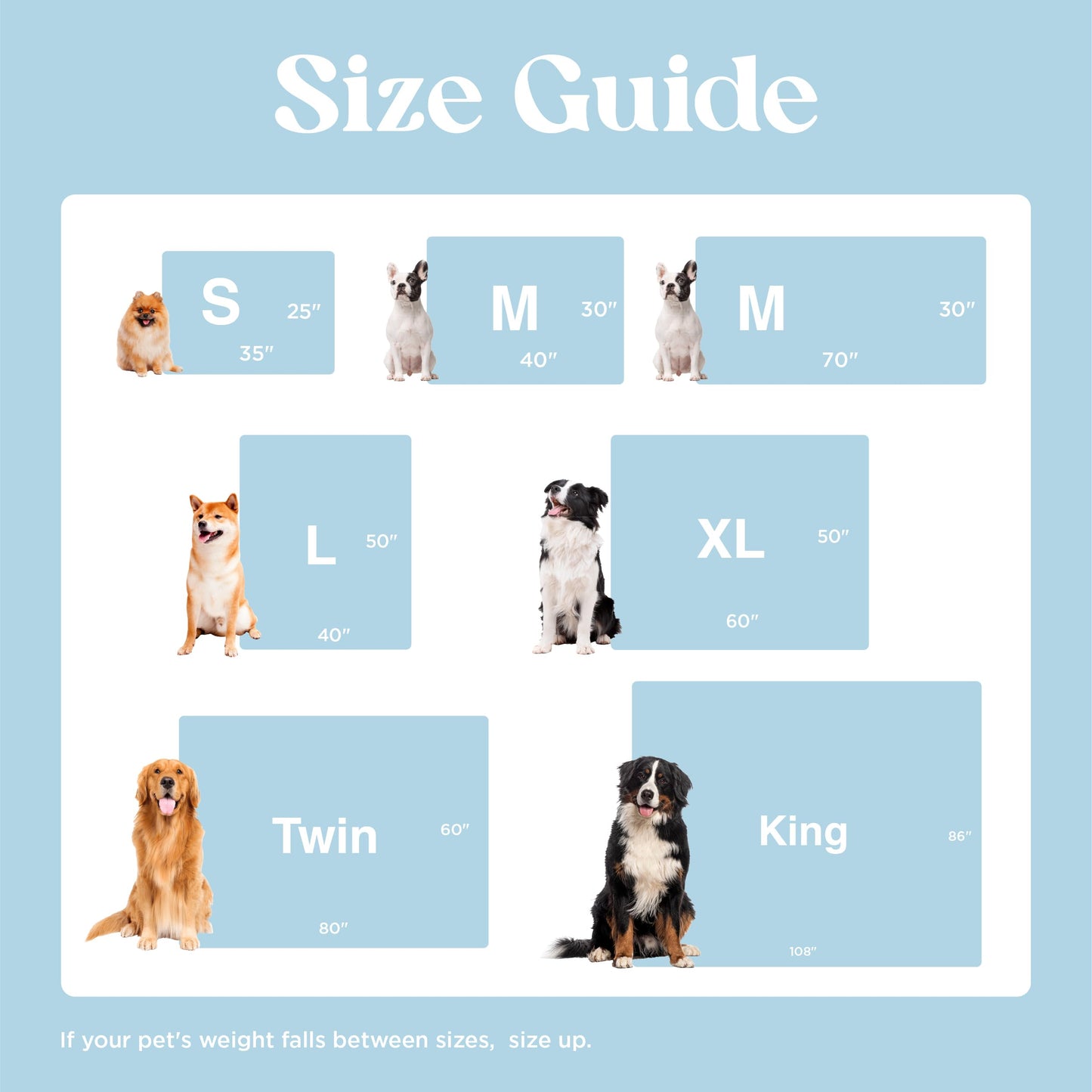 Lesure Waterproof Puppy Blanket for Small Dogs - Washable Double Sided Dog Blankets with Warm Jacquard Shag and Soft Sherpa Fleece, Pet Cat Blanket for Couch Protection, 3D Textured Cloud, Blue