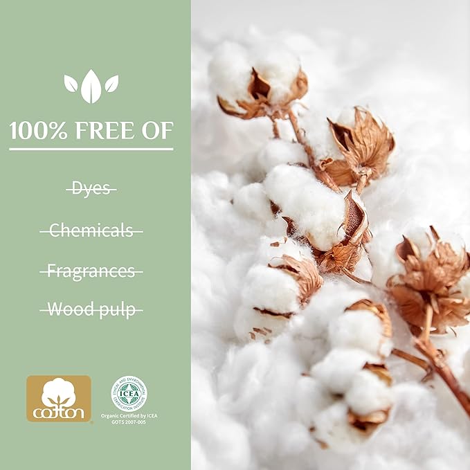 Organyc - 100% Certified Organic Cotton Feminine Pads - Heavy Flow, 10 Count (Pack of 1) (B003ART1JG)