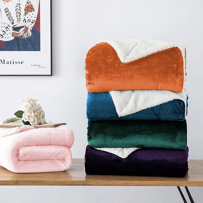 IR Imperial Rooms Rust Sherpa Fleece Throw Blanket Twin Size for Bed - Wholesale Bulk Pack of 12 Sherpa Blankets - Soft Fluffy Throw Blankets for Hotels, Guest Bedroom, 60x80 Inches