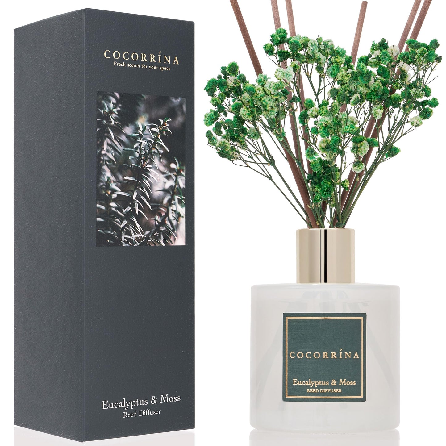 Cocorrína Reed Diffuser Sets- Eucalyptus & Moss Scented Diffuser with Sticks Home Fragrance Reed Diffuser for Bathroom Shelf Decor
