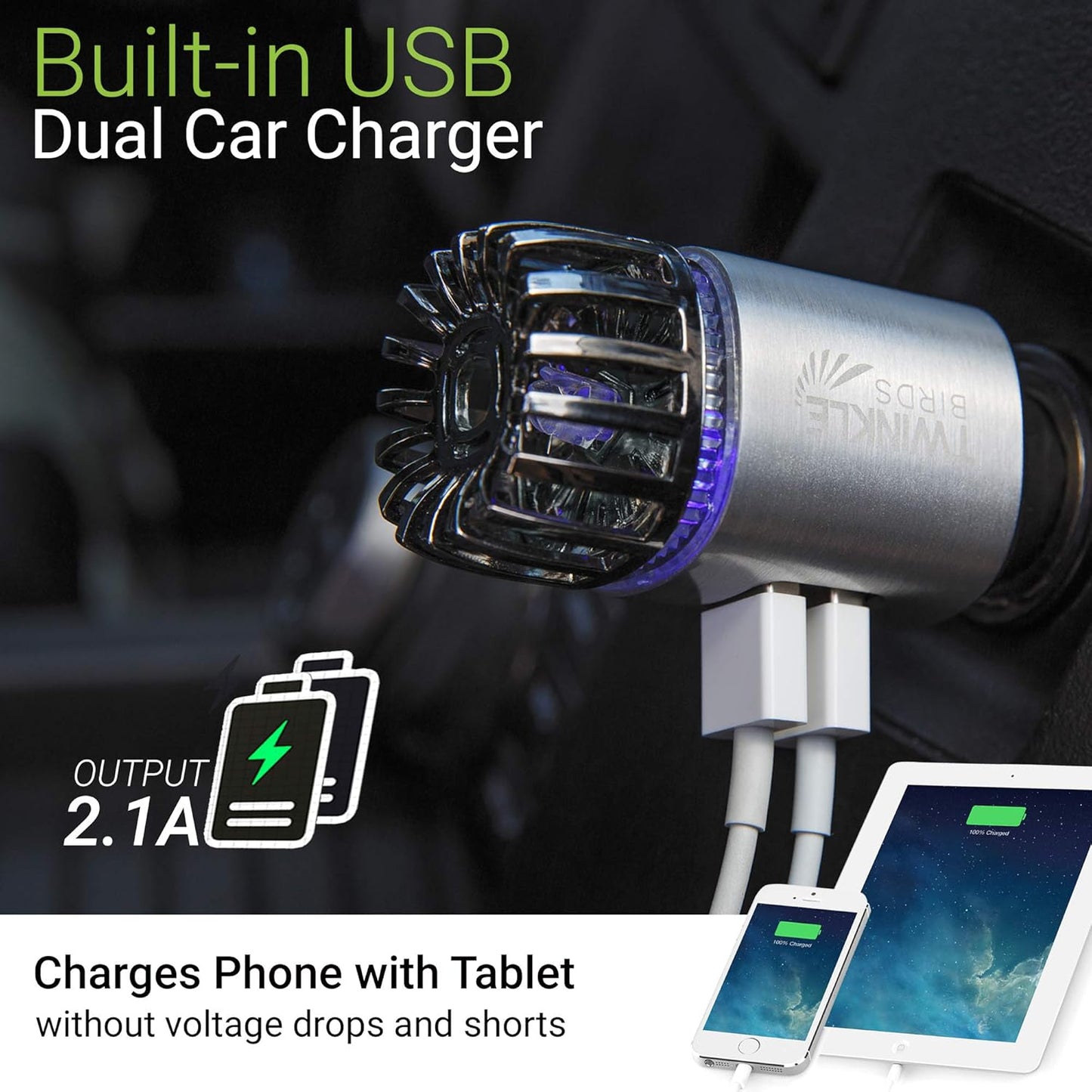 Car Air Purifier Ionizer - 12V Plug-in Ionic Anti-Microbial Car Deodorizer with Dual USB Charger - Smoke Smell, Pet and Food Odors, Allergens, Viruses Eliminator for Car (Matte Silver)