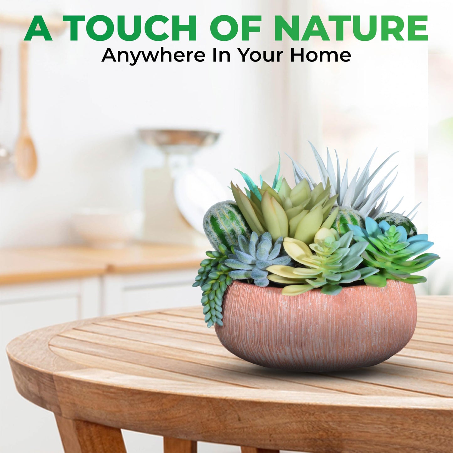 Hisow Premium Assorted Artificial Succulent Collection - Large Real Touch Artificial Cactus, Aloe Vera & Succulent Plants Artificial with Pots for Home Office Indoor (Artificial Coconut Shell - Pot)