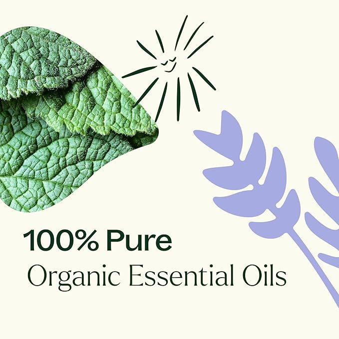 Plant Therapy Top 3 Organic Essential Oil Singles Set 10 mL (1/3 oz) Lemon, Lavender & Peppermint 100% Pure Essential Oils, Undiluted, Natural Aromatherapy for Diffusion and Body Care